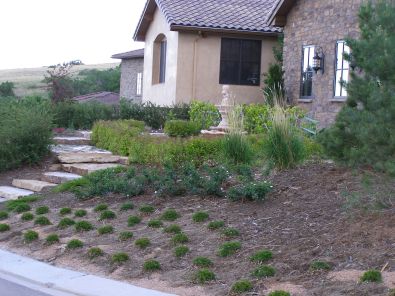 General Landscaping-Home modest front yard 1-2 General Landscaping-Home modest front yard 1-2